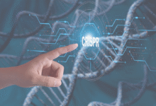 CRISPR Explained